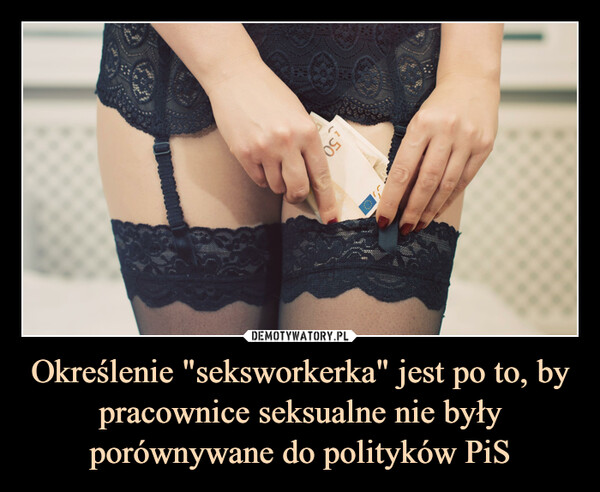 Określenie "seksworkerka" jest po to, by pracownice seksualne nie były porównywane do polityków PiS –  