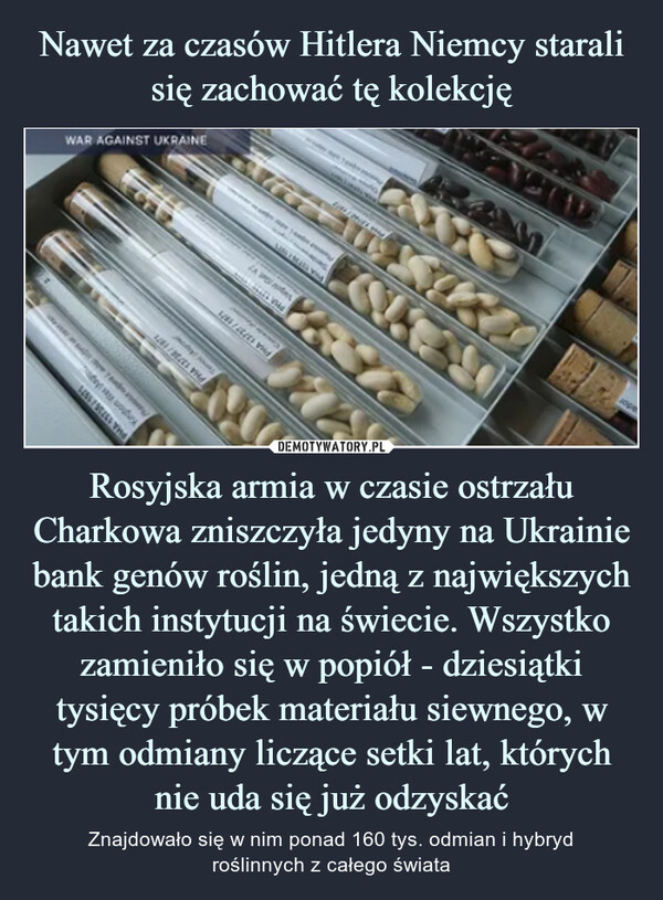 Rosyjska armia w czasie ostrzału Charkowa zniszczyła jedyny na Ukrainie bank genów roślin, jedną z największych takich instytucji na świecie. Wszystko zamieniło się w popiół - dziesiątki tysięcy próbek materiału siewnego, w tym odmiany liczące setki lat, których nie uda się już odzyskać – Znajdowało się w nim ponad 160 tys. odmian i hybrydroślinnych z całego świata WAR AGAINST UKRAINE