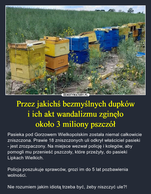 Przez jakichś bezmyślnych dupków
i ich akt wandalizmu zginęło
około 3 miliony pszczół