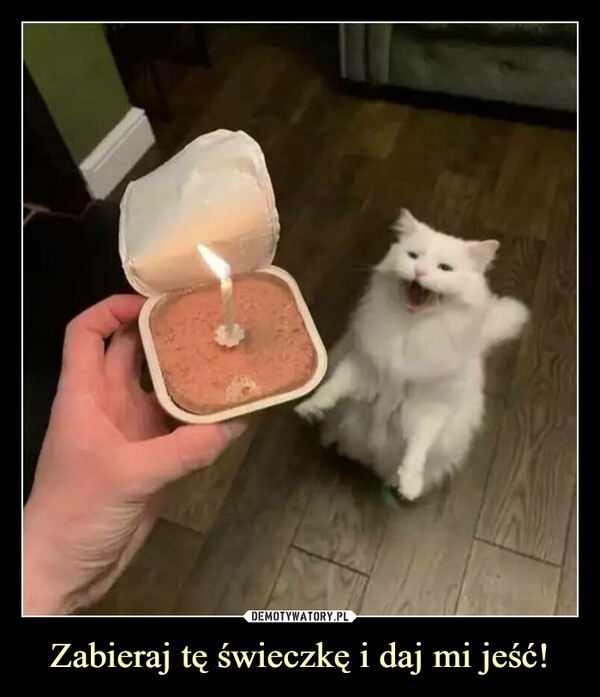 Zabieraj tę świeczkę i daj mi jeść!