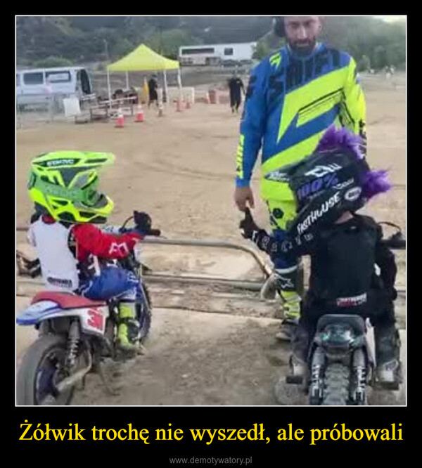 Żółwik trochę nie wyszedł, ale próbowali –  