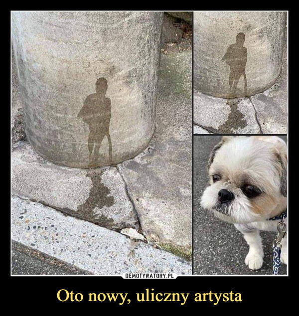 Oto nowy, uliczny artysta –  