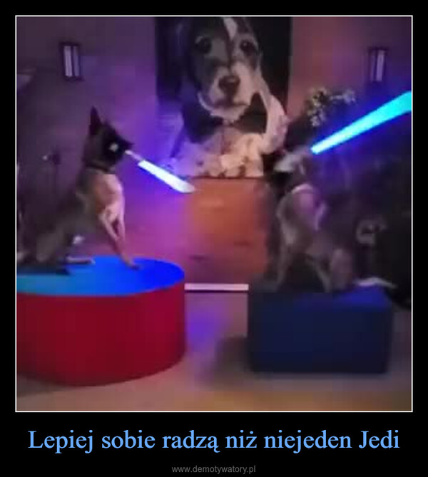 Lepiej sobie radzą niż niejeden Jedi –  