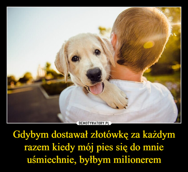 Gdybym dostawał złotówkę za każdym razem kiedy mój pies się do mnie uśmiechnie, byłbym milionerem –  