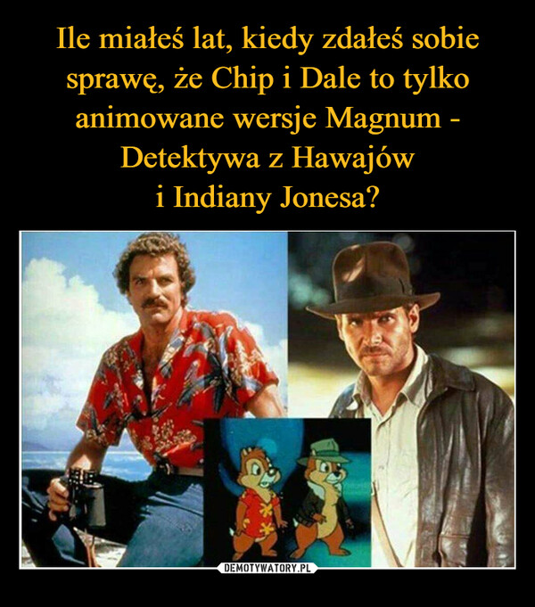 Ile miałeś lat, kiedy zdałeś sobie sprawę, że Chip i Dale to tylko animowane wersje Magnum - Detektywa z Hawajów
i Indiany Jonesa?