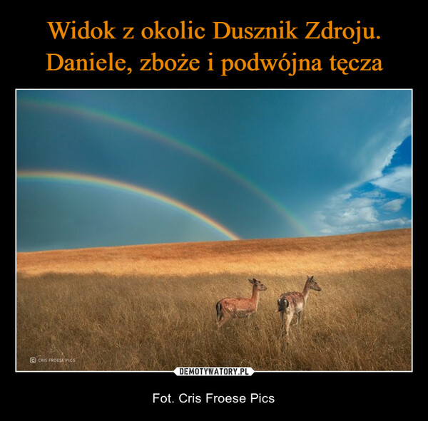 Widok z okolic Dusznik Zdroju. Daniele, zboże i podwójna tęcza