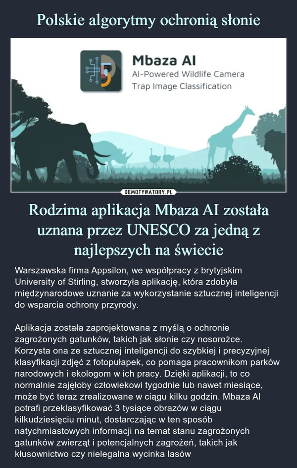 Polskie algorytmy ochronią słonie Rodzima aplikacja Mbaza AI została uznana przez UNESCO za jedną z najlepszych na świecie