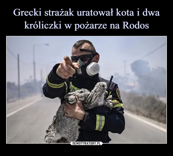 Grecki strażak uratował kota i dwa króliczki w pożarze na Rodos