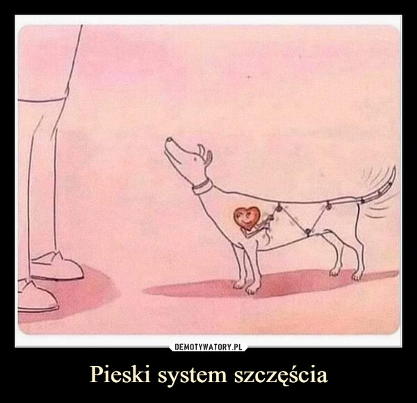 Pieski system szczęścia –  