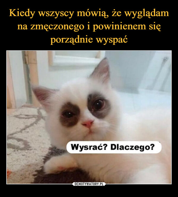  –  Wysrać? Dlaczego?