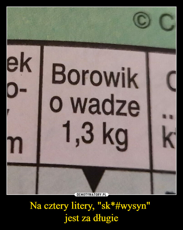 Na cztery litery, "sk*#wysyn" jest za długie –  ek Borowik-o wadze1,3 kgmCCk