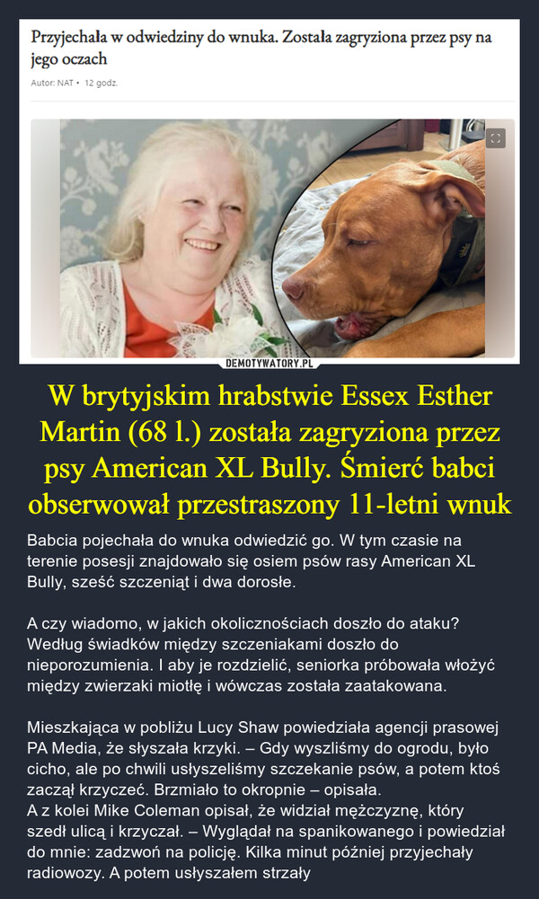 W brytyjskim hrabstwie Essex Esther Martin (68 l.) została zagryziona przez psy American XL Bully. Śmierć babci obserwował przestraszony 11-letni wnuk