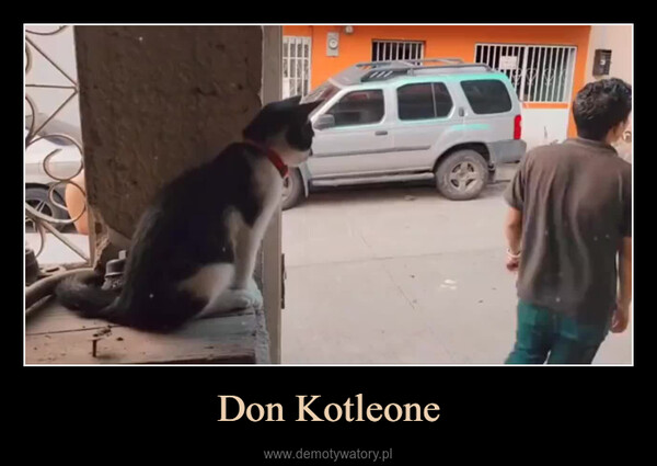 Don Kotleone –  46