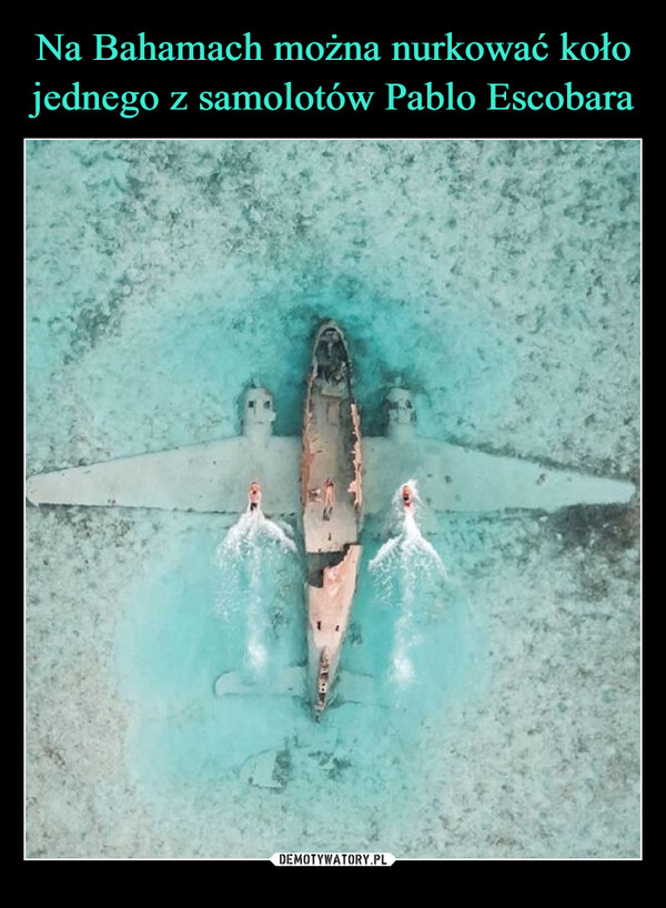 Na Bahamach można nurkować koło jednego z samolotów Pablo Escobara